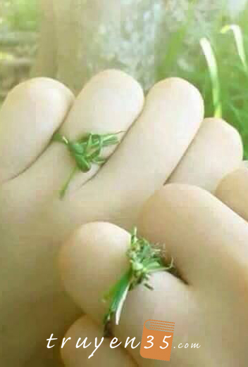 Chiếc Nhẫn Cầu Hôn Bằng Cỏ